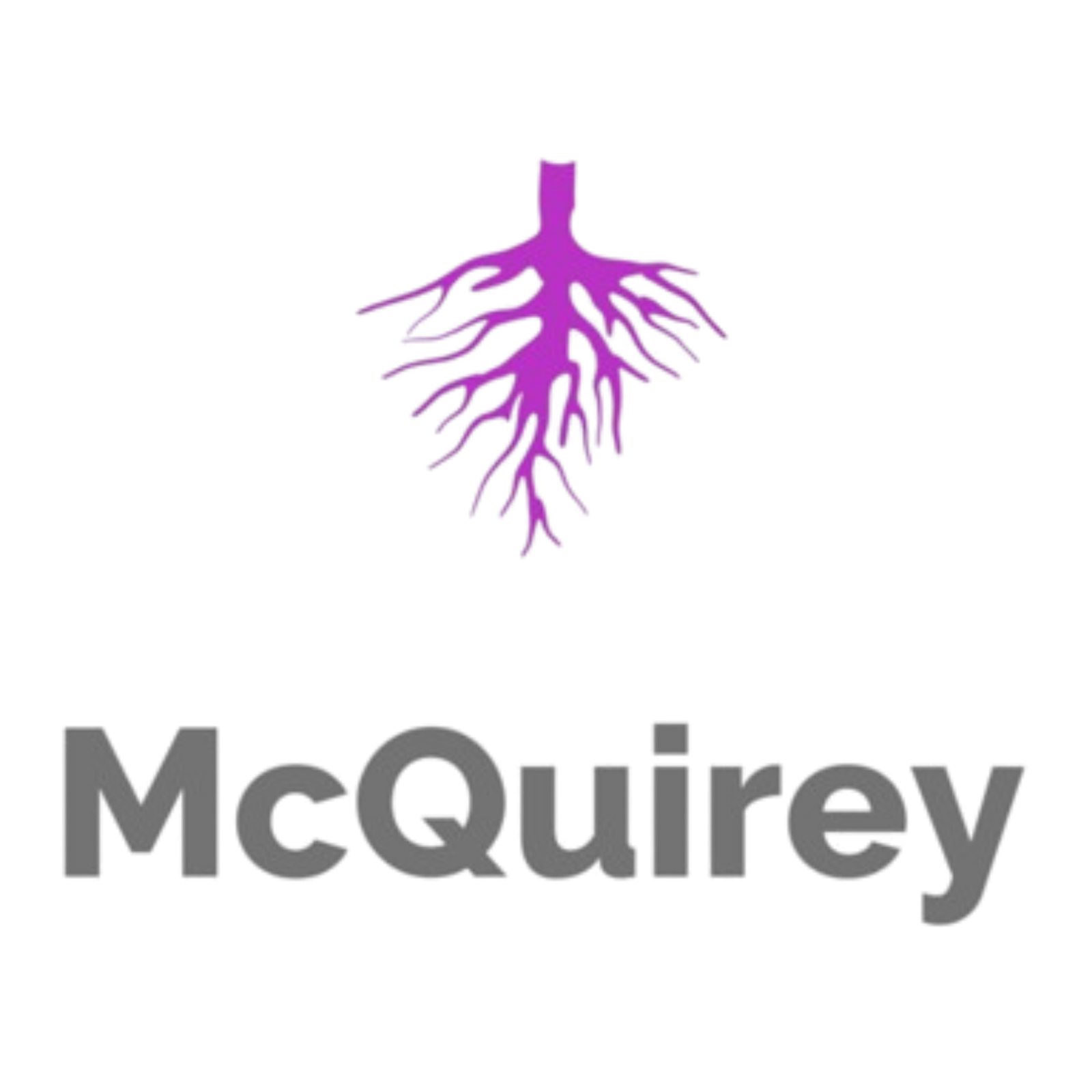 McQuirey Academy